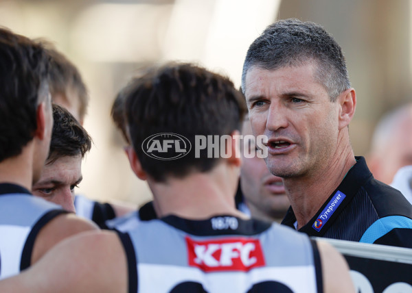 AFL 2022 Round 18 - Melbourne v Port Adelaide - 977134