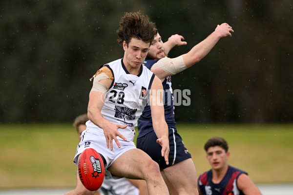 NAB League Boys 2022 - Sandringham v Geelong - 978001