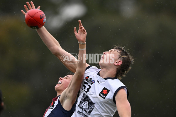 NAB League Boys 2022 - Sandringham v Geelong - 978360