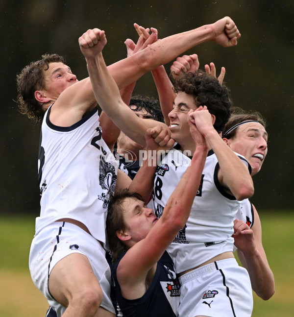 NAB League Boys 2022 - Sandringham v Geelong - 978301