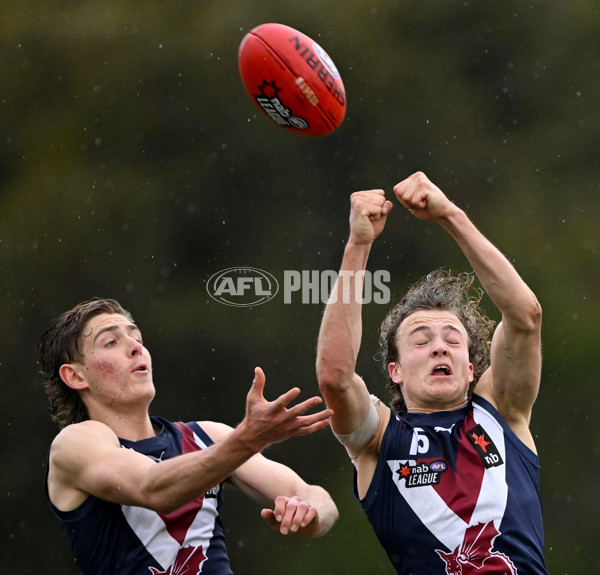 NAB League Boys 2022 - Sandringham v Geelong - 978379