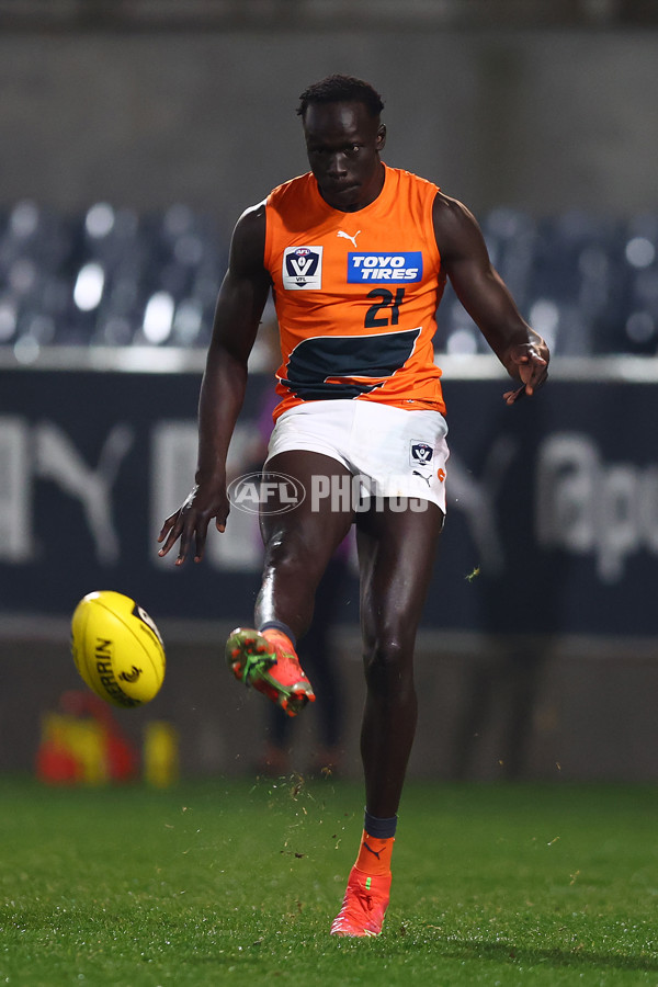 VFL 2022 Round 18 - Carlton v GWS - 978840