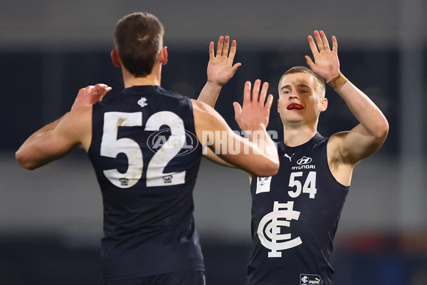 VFL 2022 Round 18 - Carlton v GWS - 978984