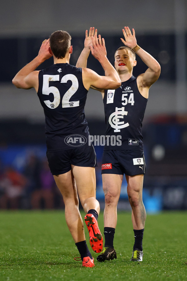 VFL 2022 Round 18 - Carlton v GWS - 978986