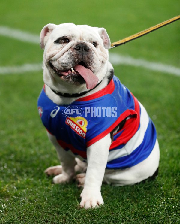 AFL 2022 Round 19 - Western Bulldogs v Melbourne - 979168