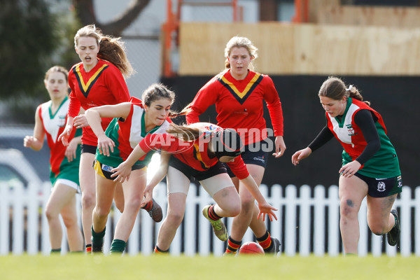 2022 Herald Sun Shield - Intermediate Girls Grand Final - 980957