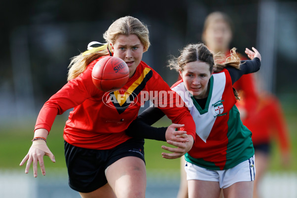 2022 Herald Sun Shield - Intermediate Girls Grand Final - 980966