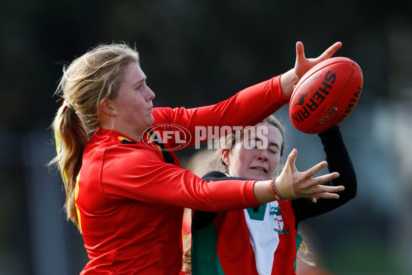 2022 Herald Sun Shield - Intermediate Girls Grand Final - 981215