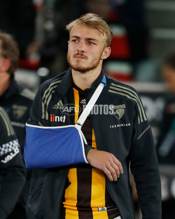 AFL 2022 Round 20 - St Kilda v Hawthorn - 982483