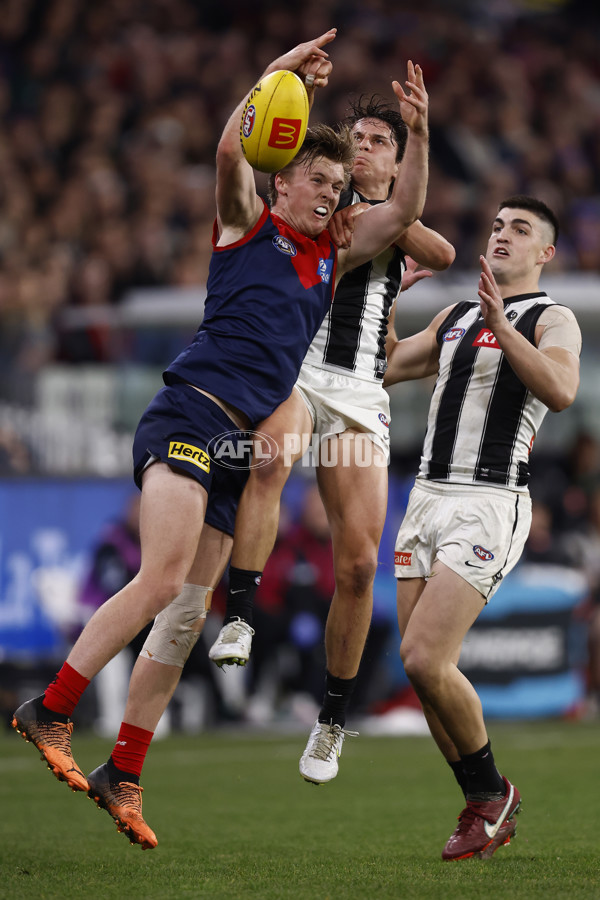 AFL 2022 Round 21 - Melbourne v Collingwood - 985479