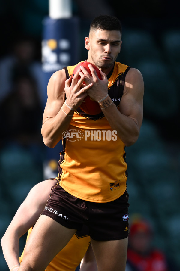 AFL 2022 Round 21 - Hawthorn v Gold Coast - 985675