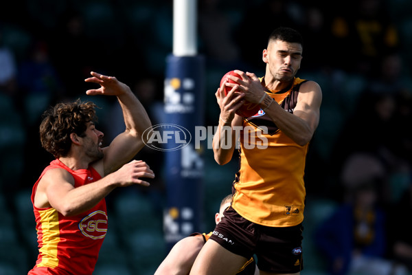 AFL 2022 Round 21 - Hawthorn v Gold Coast - 985660