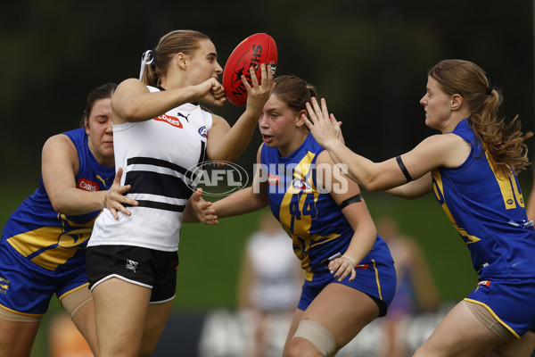 Coates Talent League Girls 2023 - Northern Knights v Western Jets - A-23520018