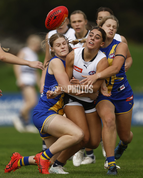 Coates Talent League Girls 2023 - Northern Knights v Western Jets - A-23521013