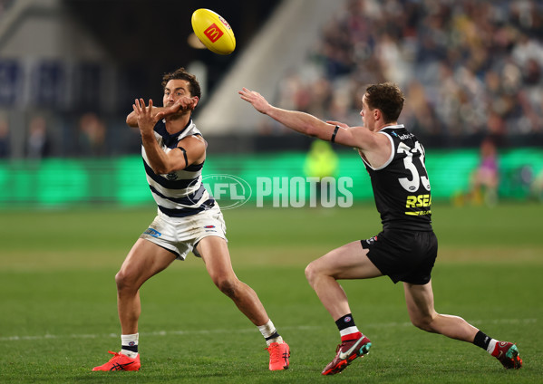 AFL 2022 Round 21 - Geelong v St Kilda - 986659