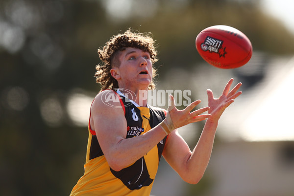 NAB League Boys 2022 - Dandenong v Bendigo - 986896