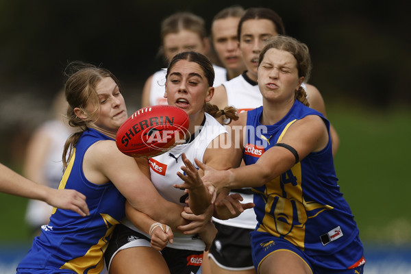 Coates Talent League Girls 2023 - Northern Knights v Western Jets - A-23539357