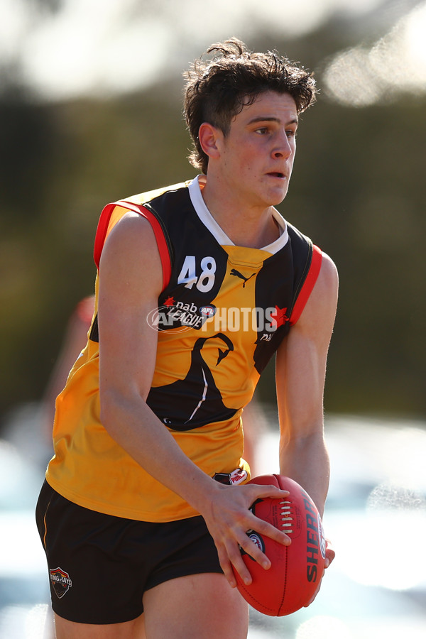 NAB League Boys 2022 - Dandenong v Bendigo - 986987