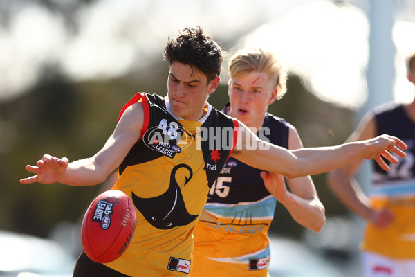 NAB League Boys 2022 - Dandenong v Bendigo - 986988