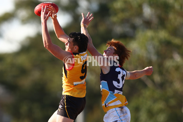 NAB League Boys 2022 - Dandenong v Bendigo - 987084