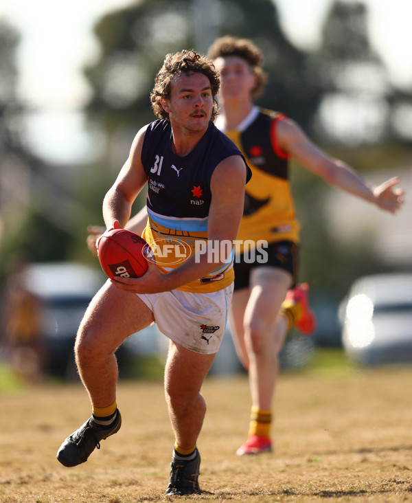 NAB League Boys 2022 - Dandenong v Bendigo - 987089