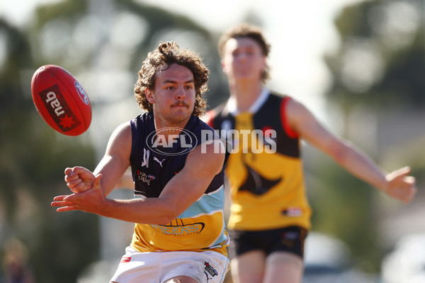 NAB League Boys 2022 - Dandenong v Bendigo - 987087