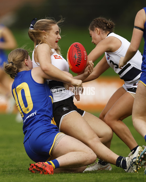 Coates Talent League Girls 2023 - Northern Knights v Western Jets - A-23555192