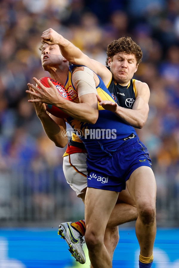 AFL 2022 Round 21 - West Coast v Adelaide - 987894