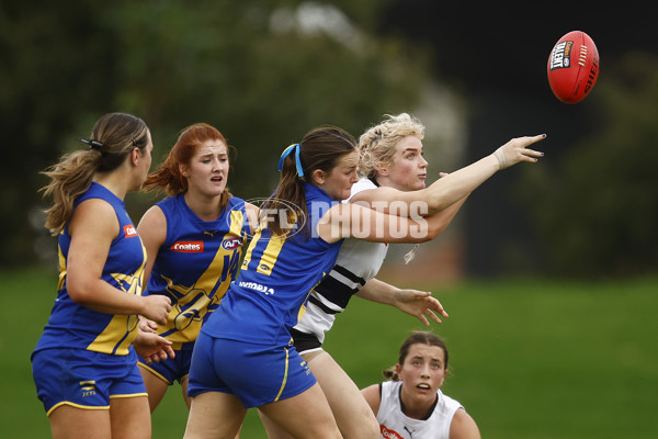 Coates Talent League Girls 2023 - Northern Knights v Western Jets - A-23567027