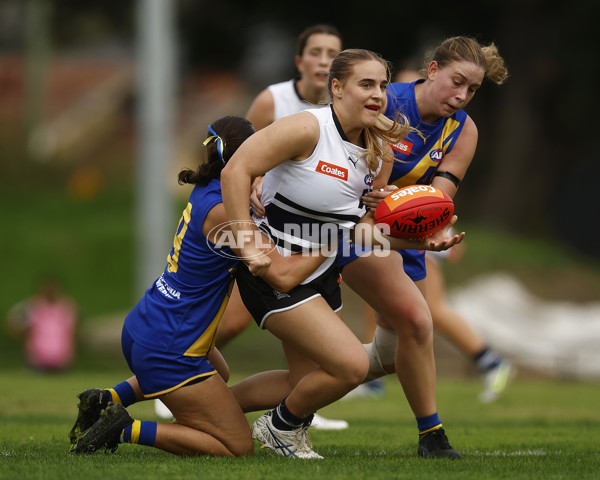 Coates Talent League Girls 2023 - Northern Knights v Western Jets - A-23569247