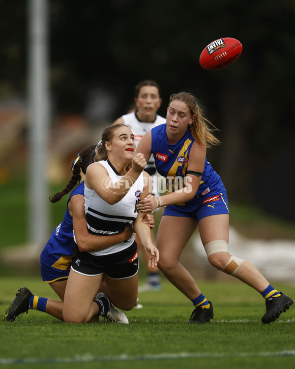 Coates Talent League Girls 2023 - Northern Knights v Western Jets - A-23570999