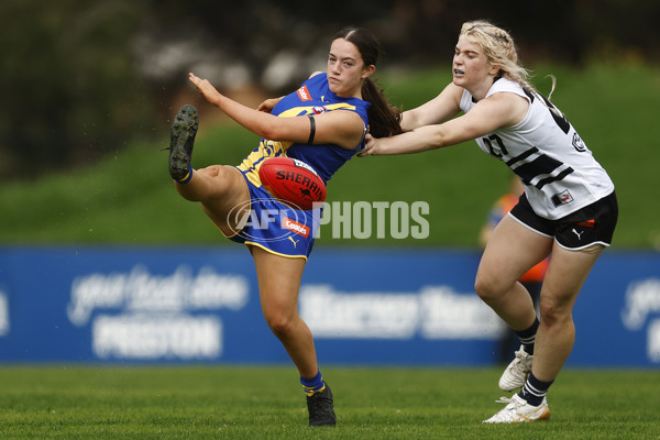 Coates Talent League Girls 2023 - Northern Knights v Western Jets - A-23571014