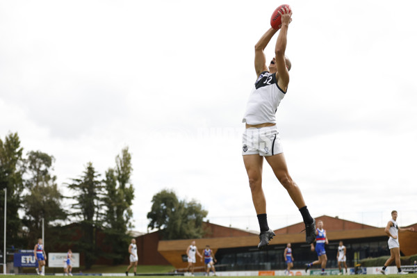 VFL 2023 Round 05 - Footscray v Southport - A-23572414