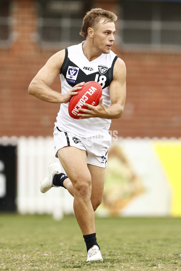 VFL 2023 Round 05 - Footscray v Southport - A-23576208