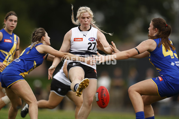 Coates Talent League Girls 2023 - Northern Knights v Western Jets - A-23582516