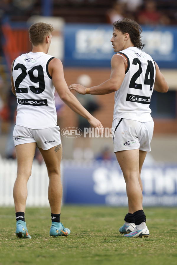 VFL 2023 Round 05 - Footscray v Southport - A-23584016