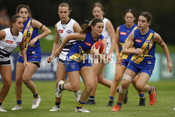 Coates Talent League Girls 2023 - Northern Knights v Western Jets - A-23584047