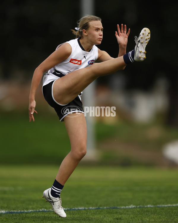 Coates Talent League Girls 2023 - Northern Knights v Western Jets - A-23586450