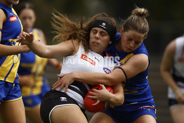 Coates Talent League Girls 2023 - Northern Knights v Western Jets - A-23586487