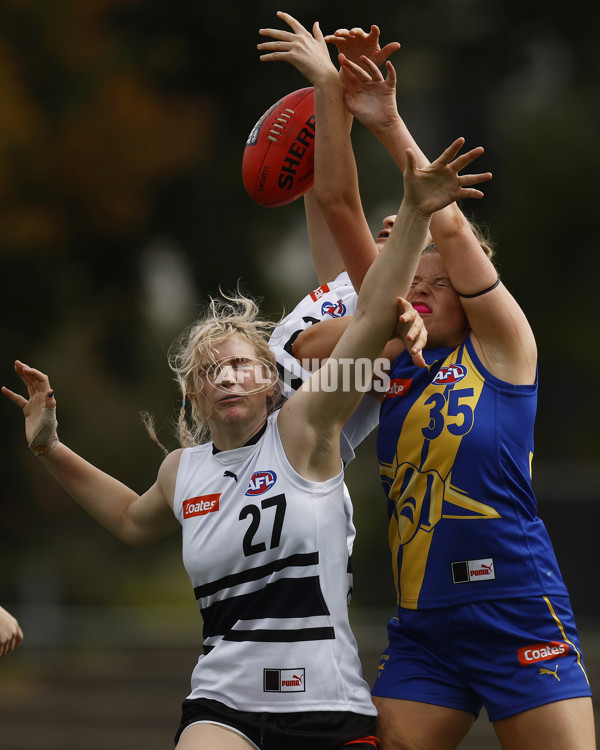 Coates Talent League Girls 2023 - Northern Knights v Western Jets - A-23588098