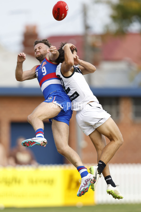 VFL 2023 Round 05 - Footscray v Southport - A-23594183