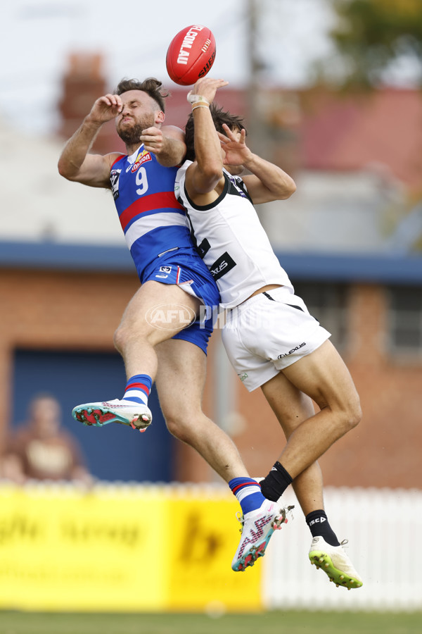 VFL 2023 Round 05 - Footscray v Southport - A-23594184