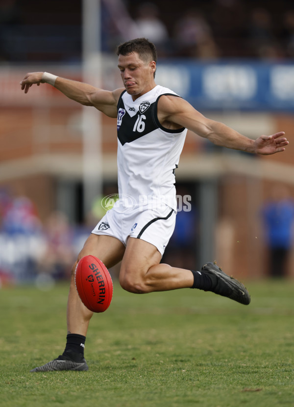 VFL 2023 Round 05 - Footscray v Southport - A-23594205