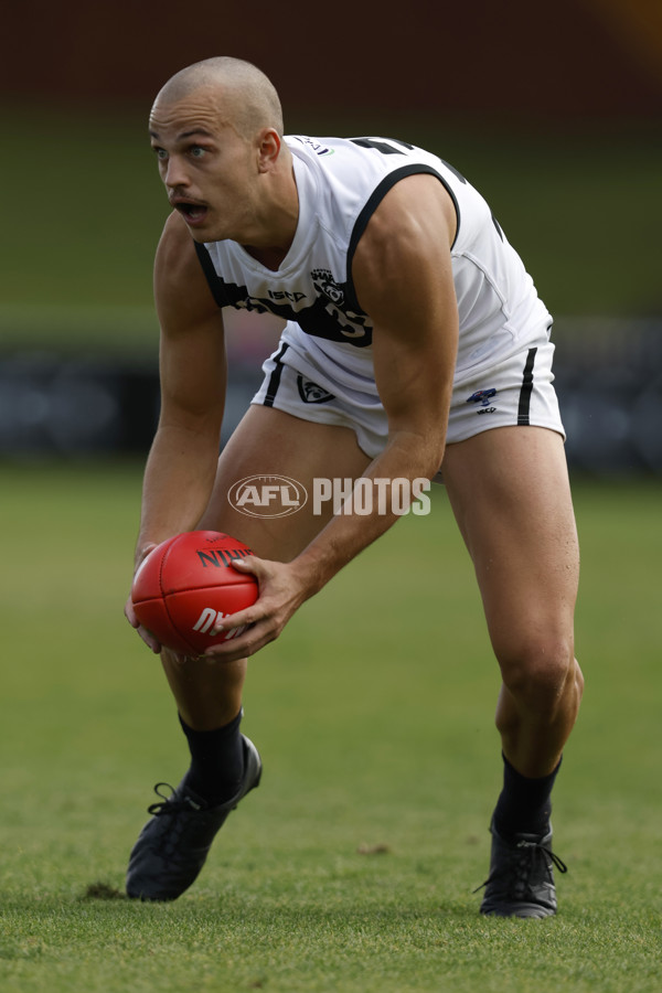 VFL 2023 Round 05 - Footscray v Southport - A-23595289