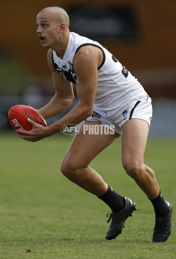 VFL 2023 Round 05 - Footscray v Southport - A-23595290