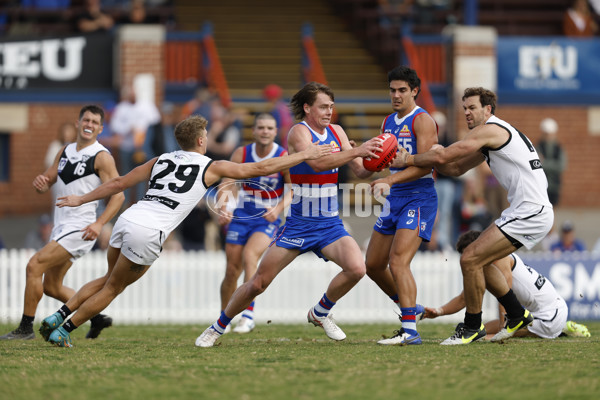 VFL 2023 Round 05 - Footscray v Southport - A-23598726