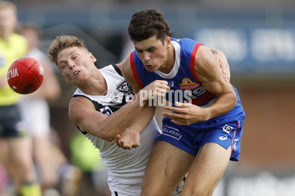 VFL 2023 Round 05 - Footscray v Southport - A-23598747