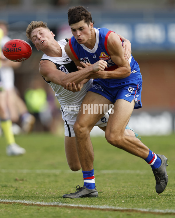 VFL 2023 Round 05 - Footscray v Southport - A-23598748