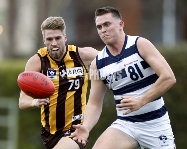 VFL 2022 Round 21 - Box Hill v Geelong - 990250