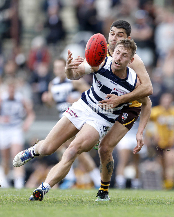 VFL 2022 Round 21 - Box Hill v Geelong - 990209